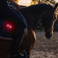 BEE SAFE Led Magnet Light - Sicherheitslicht -Outdoor Zelt Verkauf 15140 000 9