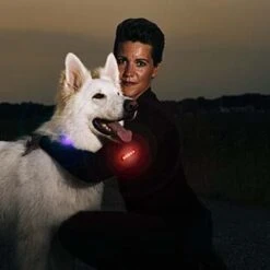 BEE SAFE Led Clip Light USB- Cliplicht -Outdoor Zelt Verkauf 19400 000 7