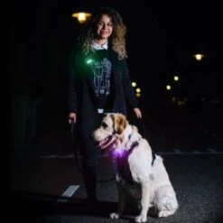 BEE SAFE Led Clip Light USB- Cliplicht -Outdoor Zelt Verkauf 19400 000 9