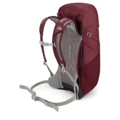 LOWE ALPINE AirZone Active 20 - Tagesrucksack -Outdoor Zelt Verkauf AirZone Active 20 DeepHeather FTF 33 DEH Back Angle