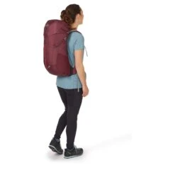 LOWE ALPINE AirZone Active 20 - Tagesrucksack -Outdoor Zelt Verkauf AirZone Active 20 DeepHeather FTF 33 DEH Model Back 03