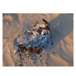 ORIGIN OUTDOORS Grill Woodie - Grill -Outdoor Zelt Verkauf OriginOutdoors GrillWoodie 562123 9