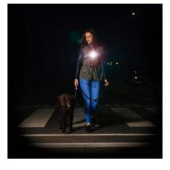 BEE SAFE Body Light USB Run (Modell 2020) - LED Brustgurt -Outdoor Zelt Verkauf bee sports led brustgurt sichtbarkeit daemmerung