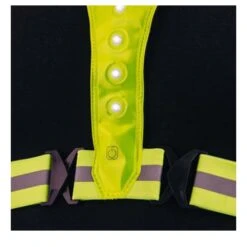 BEE SPORTS Led Harness USB - LED Brustgeschirr -Outdoor Zelt Verkauf beesports led brustgeschirr