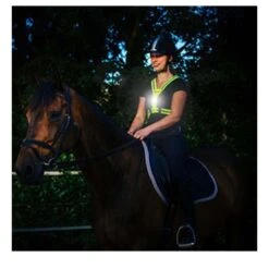 BEE SPORTS Led Harness USB - LED Brustgeschirr -Outdoor Zelt Verkauf beesports led brustgeschirr reitsport joggen