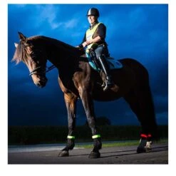 BEE SPORTS LED Klickband -Outdoor Zelt Verkauf beesports led klickband reitsport sicherheit